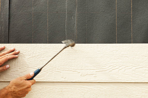 Best Siding Painting and Refinishing  in Eagle Mountain, UT